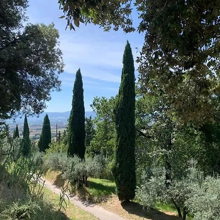 Διαμέρισμα Borgo Eva Ασίζη