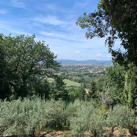 Διαμέρισμα Borgo Eva