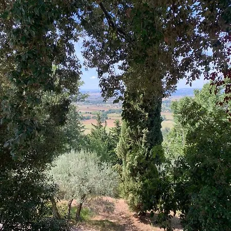 Borgo Eva Apartment Assisi